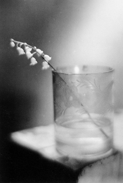 Sudek-16.jpg