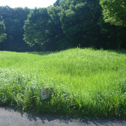 P1340770