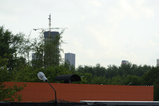 DSC5453.jpg