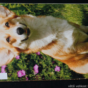IMG-7712