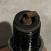 IMG-4156