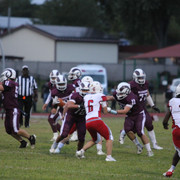 IMG-3099