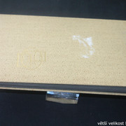 IMG-3104