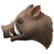 boar-1f417