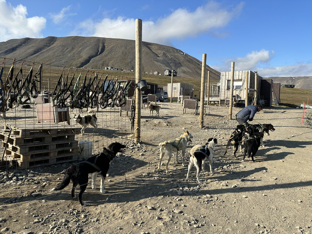 IMG-5324