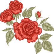 bf268f0abe4504165b974656f4ffeb3c.png