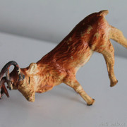 IMG-6657
