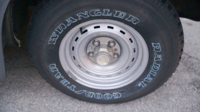 DSC03565.jpg