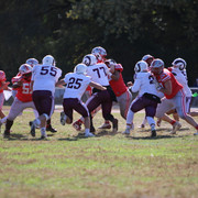 IMG-0560