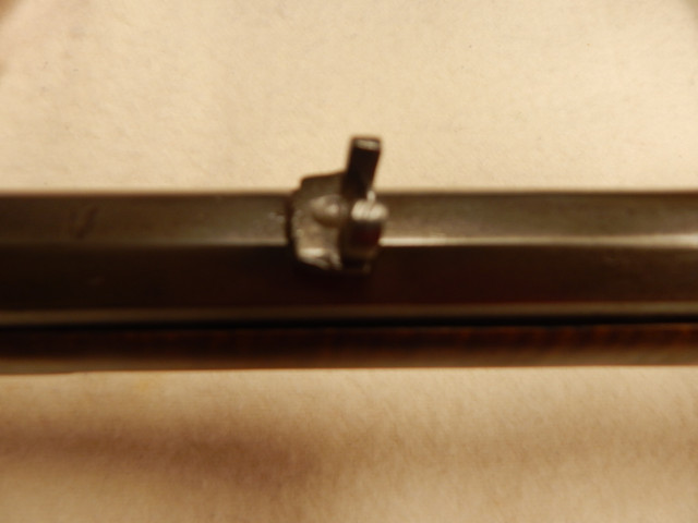 DSCN1675
