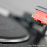 IMG-6406