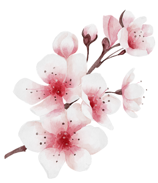 cherry-2
