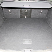 IMG-6345