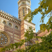 DSC-0365