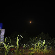 100c010084m
