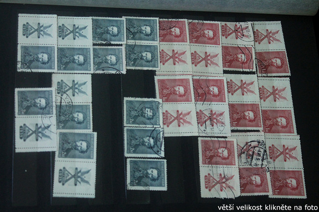 IMG-3287.jpg