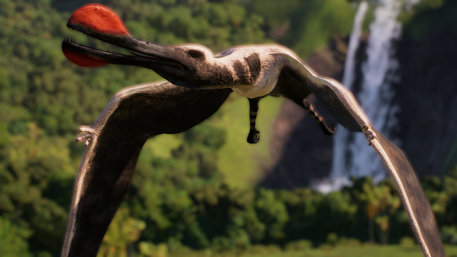 Tropeognathus 缩略图