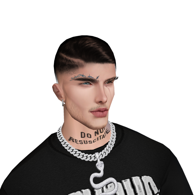 hi-Res-No-Bg28.png