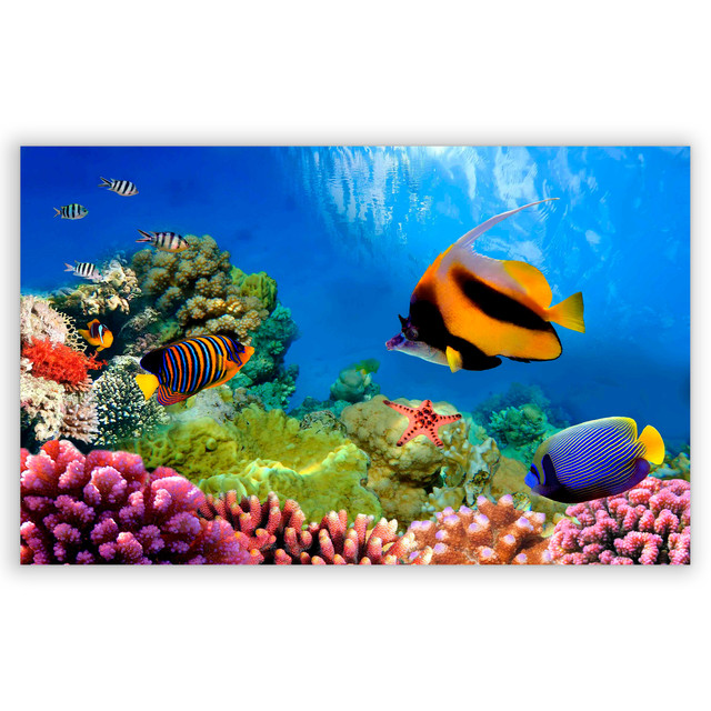 701524-Fundo-do-Mar
