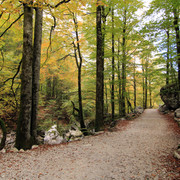IMG-0361
