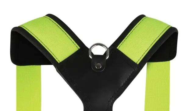 LBHAY-back-top-web-jpg