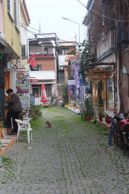 IMG-3545