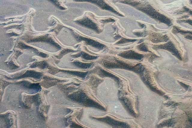 DSCF2836.jpg