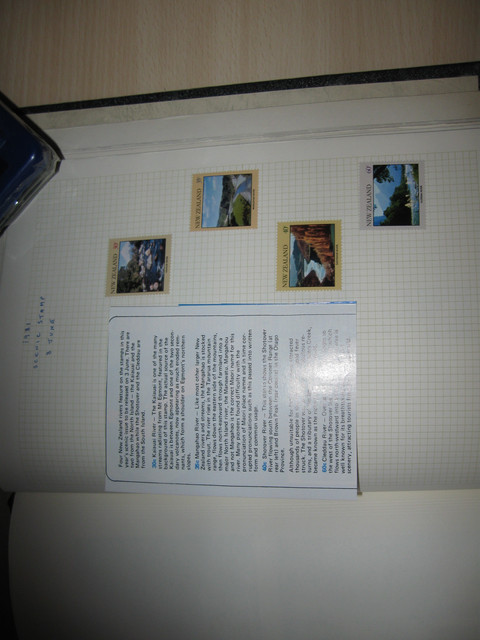 IMG 1130.jpg