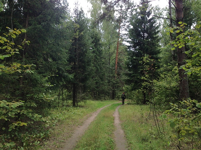 IMG-3996.jpg