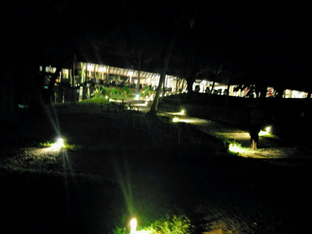 IMAG0319.jpg