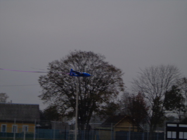 DSC07952.jpg
