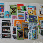 IMG-3501