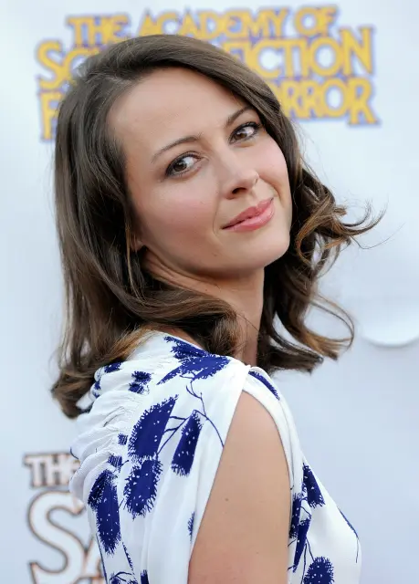 Amy Acker.webp