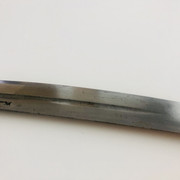 IMG-E1560