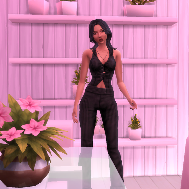 dreamhouse3.png
