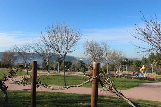IMG-2963