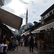 IMG-20230731-7