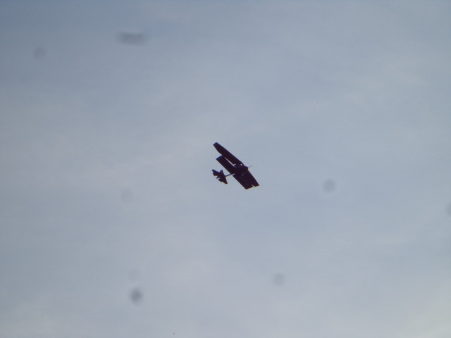 DSC00876.jpg