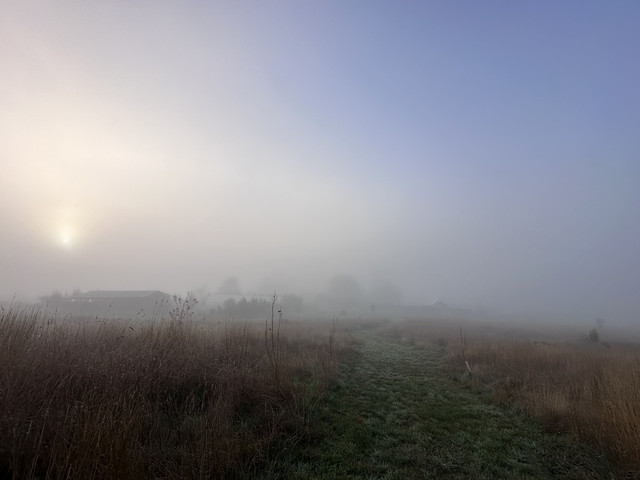 IMG-0314