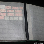 IMG-2513
