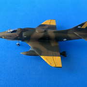 IMG-3513