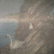 IMG-7159