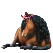 433 Horse