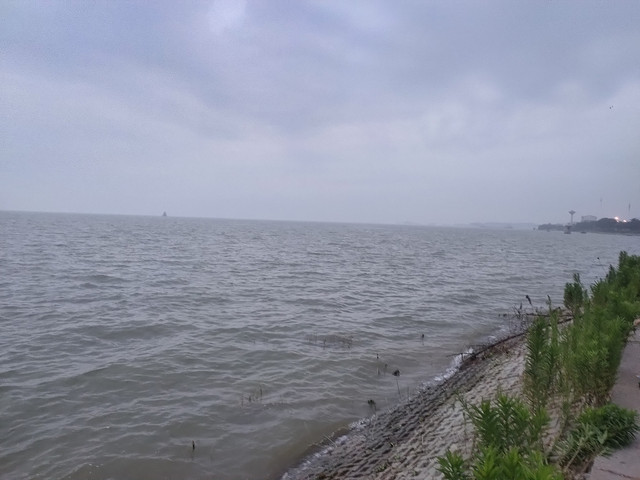 IMG20200718192209.jpg