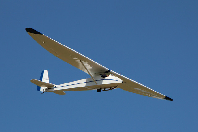 y-4325.jpg