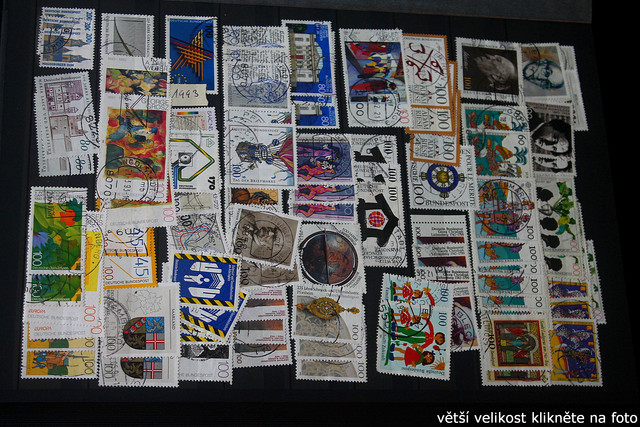 IMG-3337.jpg