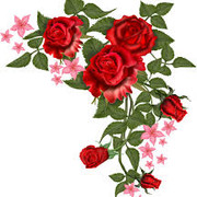 rodsa