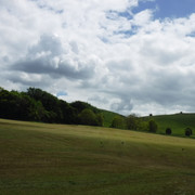 DSCF6061