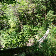DSC-0079