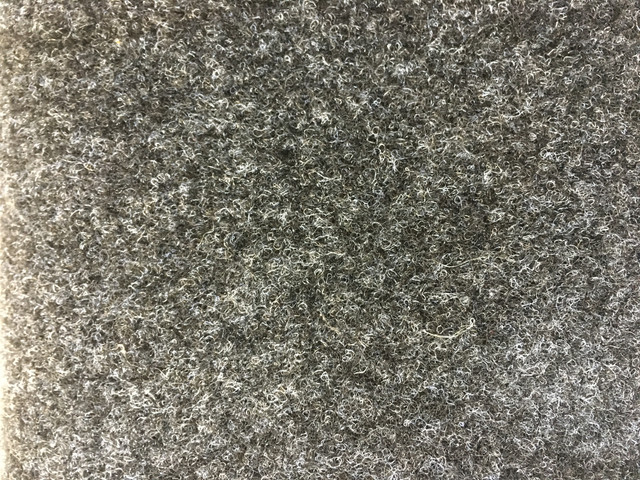IMG 1755